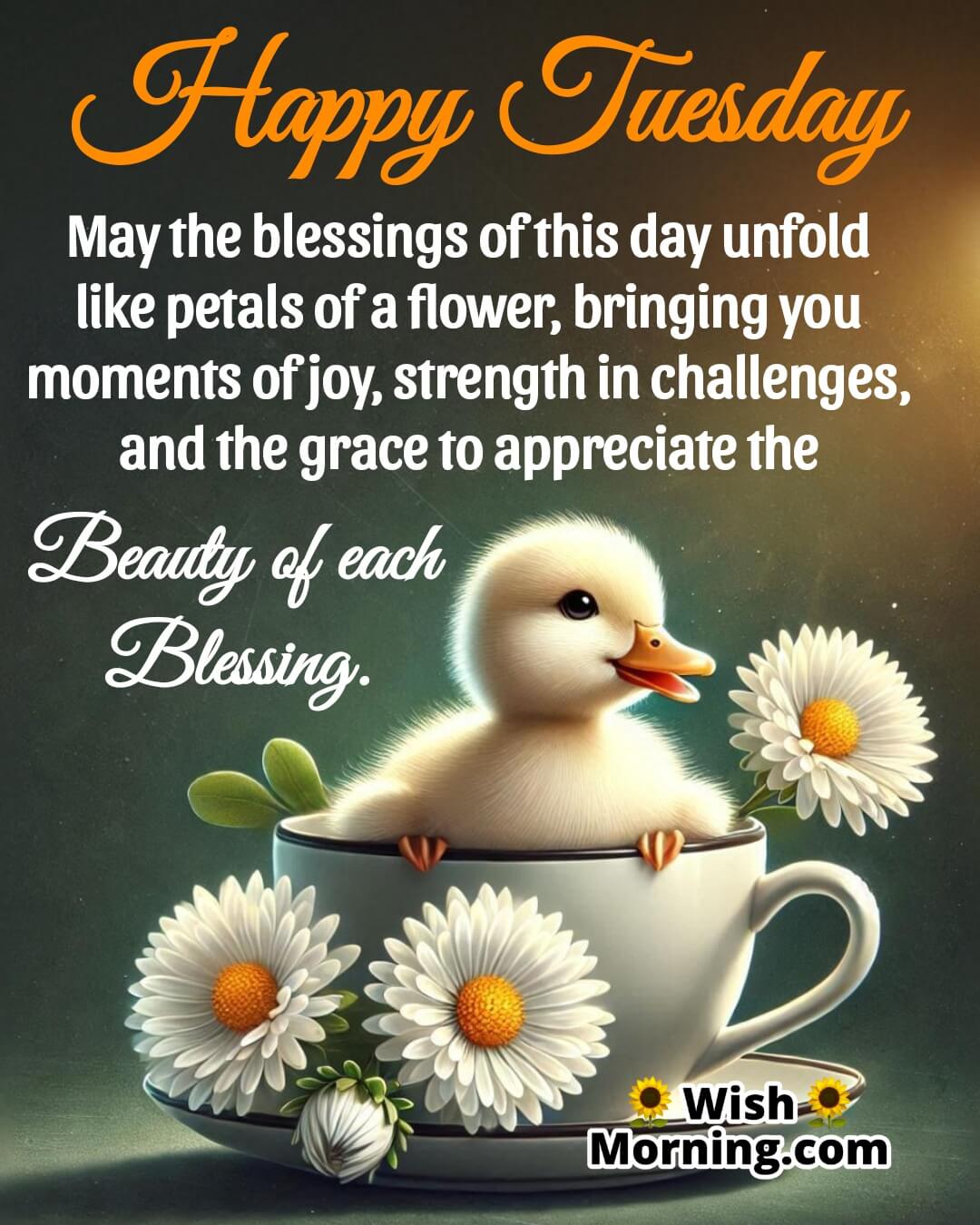 Happy Tuesday Beauty Of Blessings