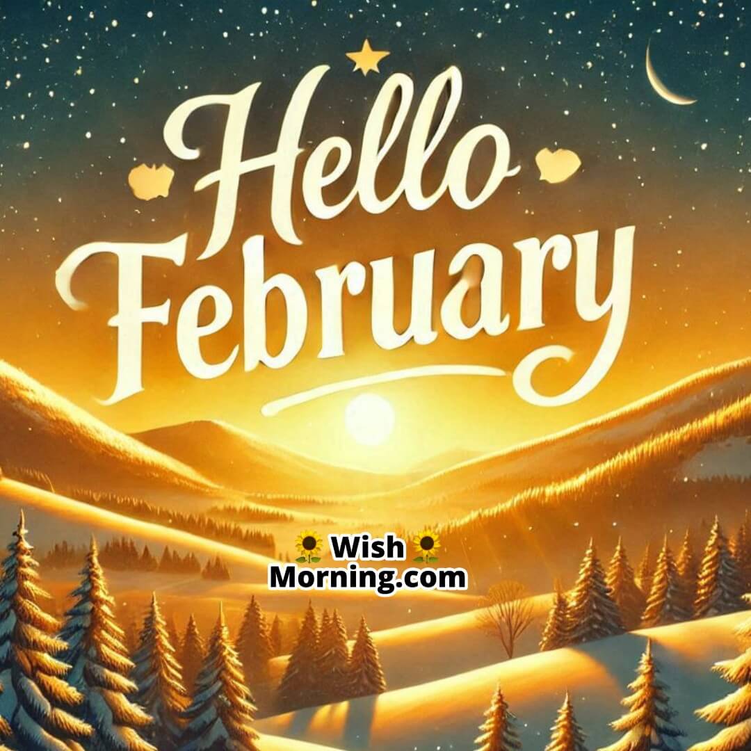 Hello February Snowy Sunrise And Winter Glow Image