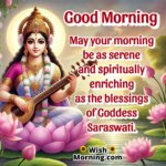 Morning Blessings From Goddess Saraswati