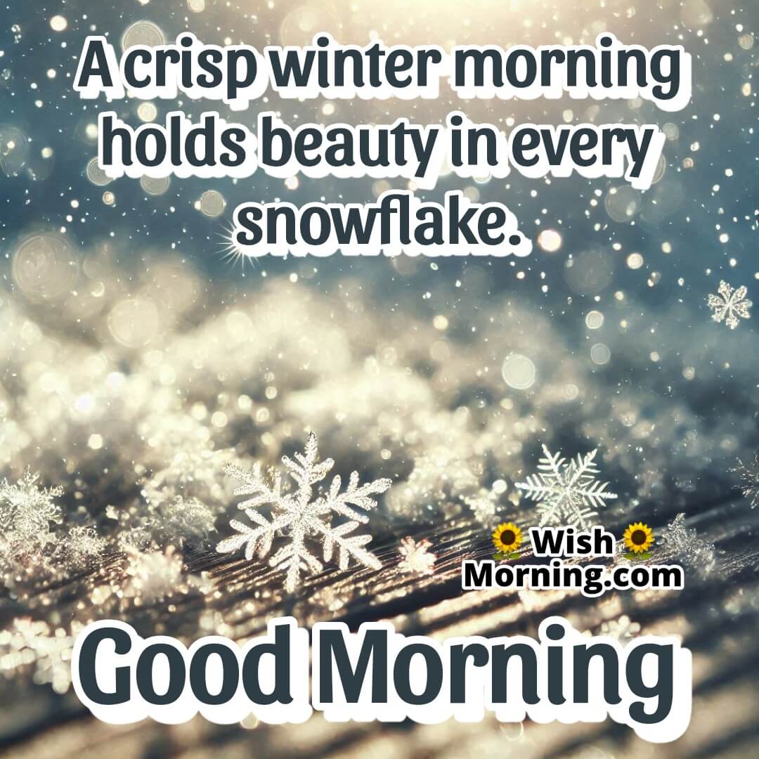 Snowflakes On Winter Morning