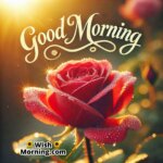 Good Morning Fresh Red Rose Image