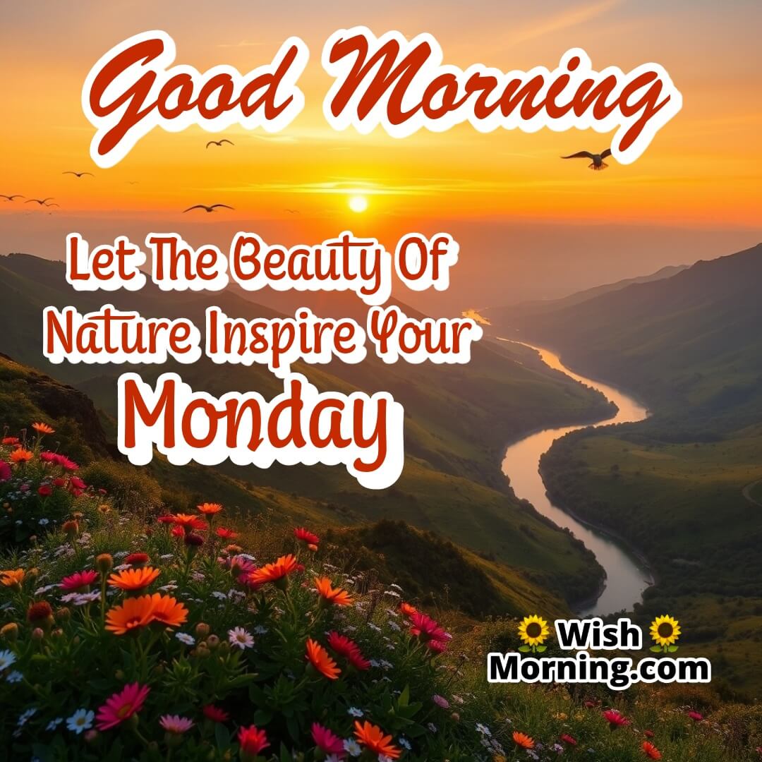 Good Morning Monday Nature Wishes