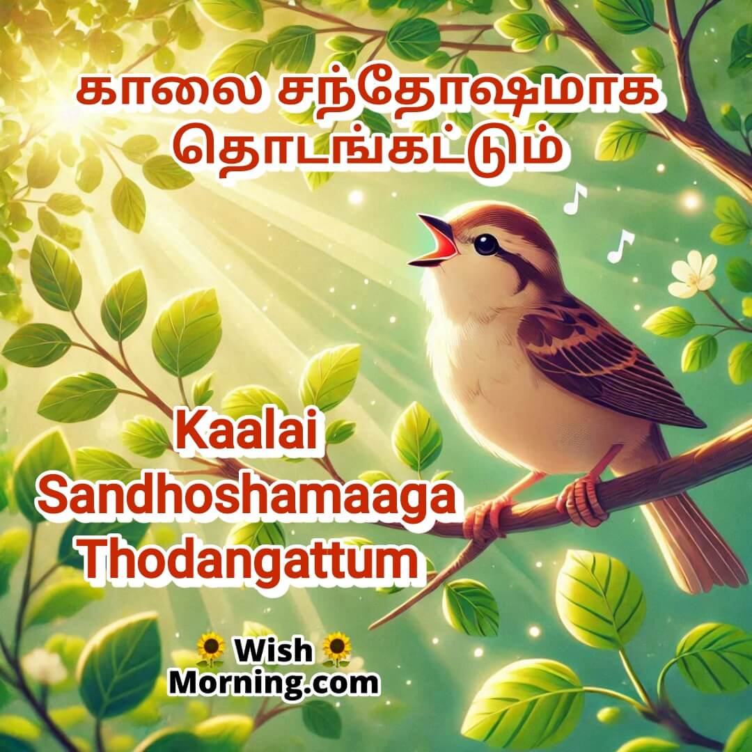 Good Morning Tamil Wishes