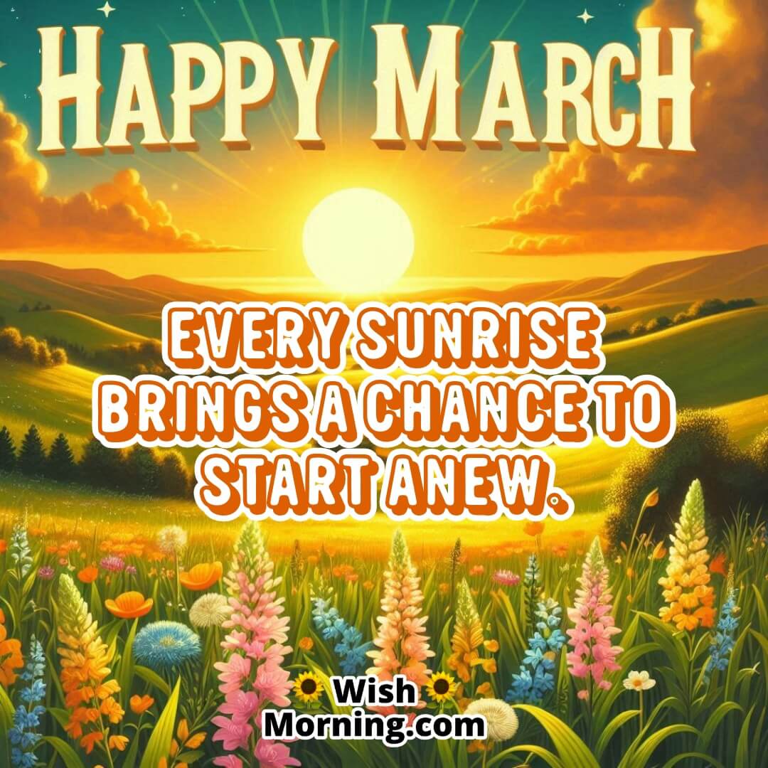 Happy March Sunrise Over Blooming Meadows Image