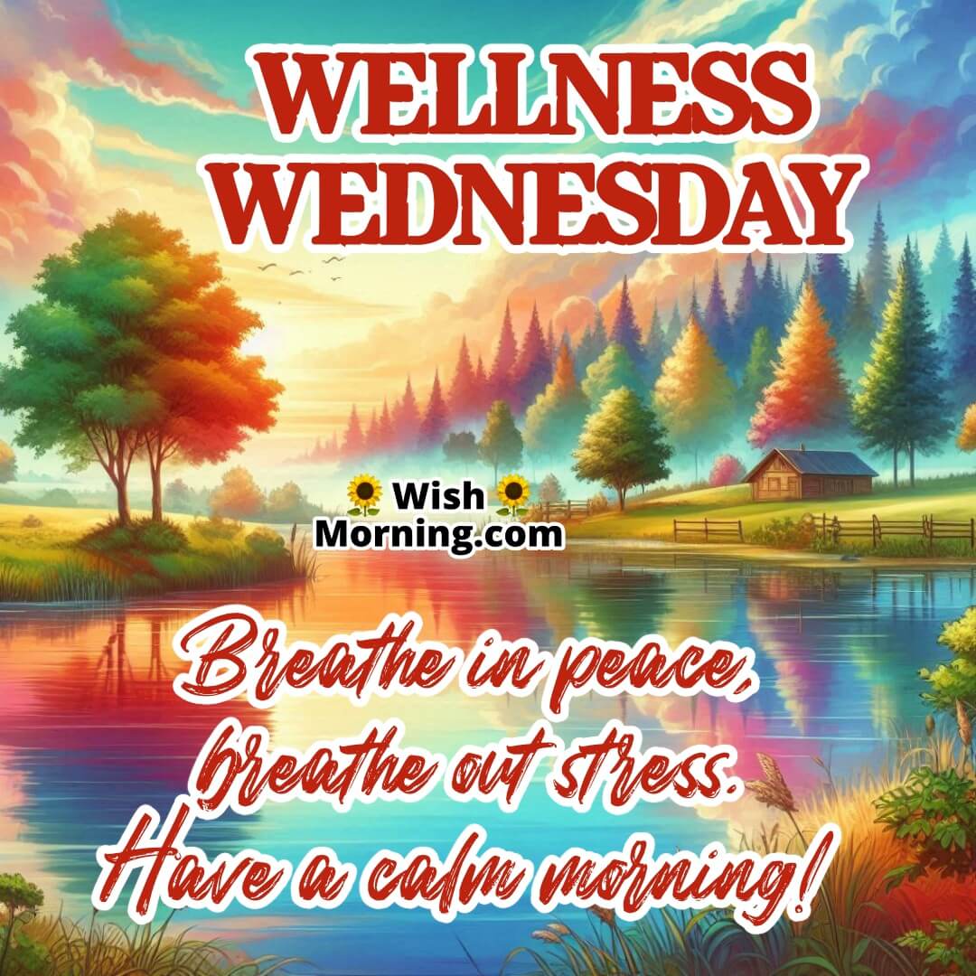 Wellness Wednesday Calm Morning